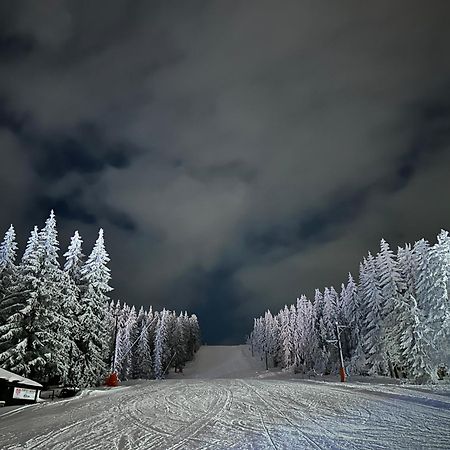 Vila Jezero Kopaonik Eksteriør bilde